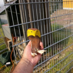0247